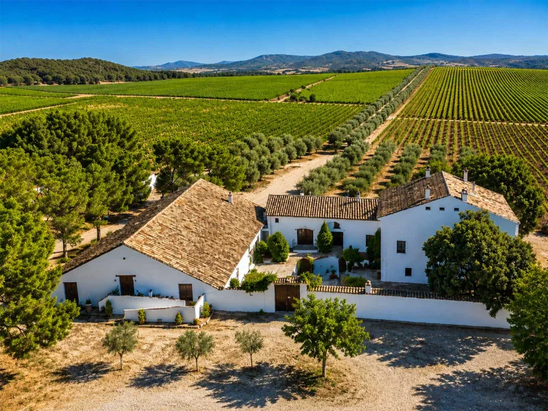 Bodegas Vicente Gandia