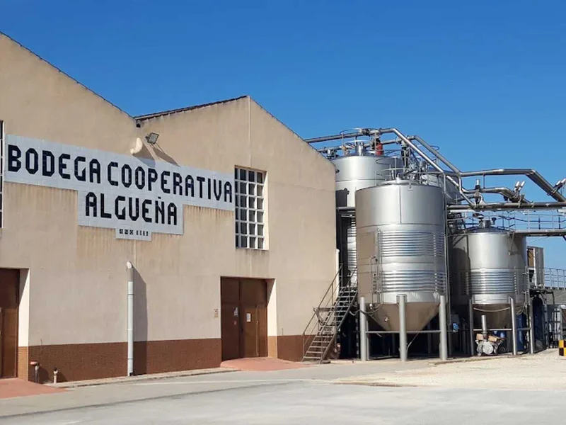 Bodega Cooperativa Algueña