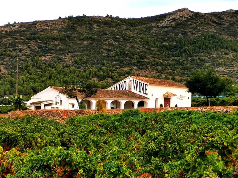 Casa Agrícola Pepe Mendoza