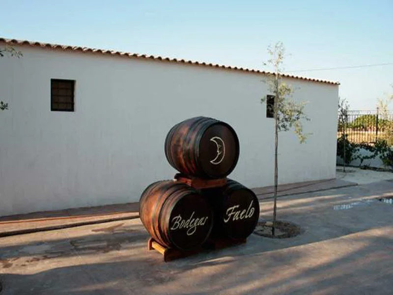 Bodegas Faelo