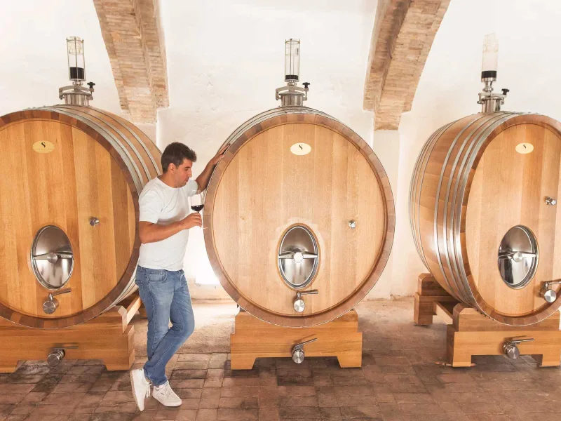Bodegas y Viñedos El sequé