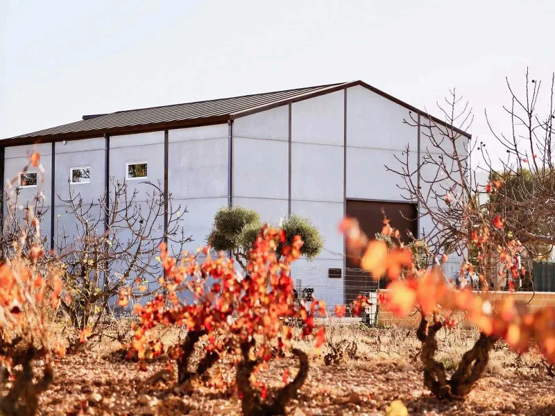 Bodegas Alejandro
