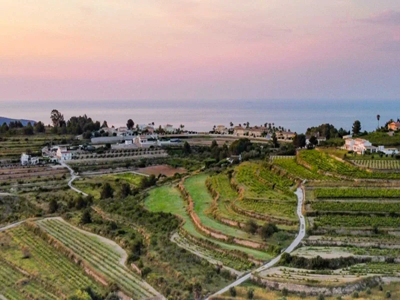Bodegas Antonio Llobell