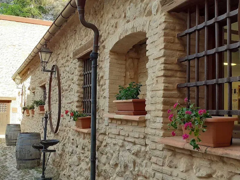 Bodegas Pinoso