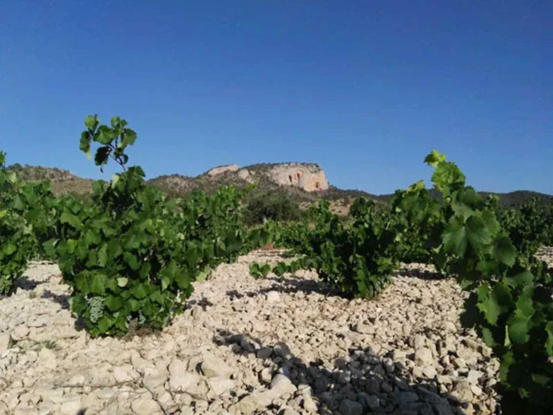 La Zafra
