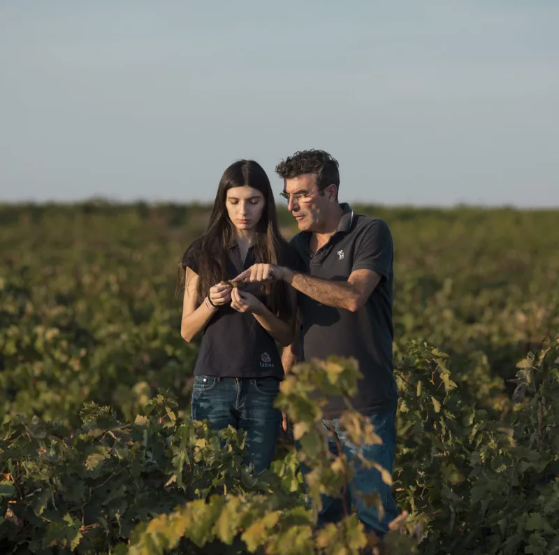Bodega Rafael Cañizares
